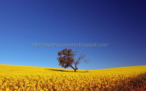 Beautiful_Images_Landscape