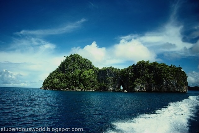 under-sea-photos-scenery