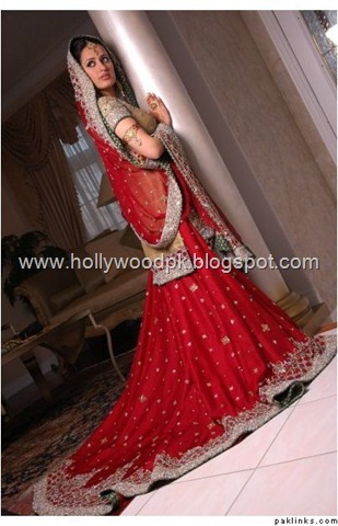 [pakistani bridial dresses lehnga choli poshak. mehendi design . pakistani gewellery. indian bride (2)[2].jpg]