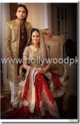 pakistani bridial dresses lehnga choli poshak. mehendi design . pakistani gewellery. indian bride (1)