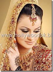 pakistani bridial dresses lehnga choli poshak. mehendi design . pakistani gewellery. indian bride (9)