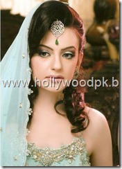 pakistani bridial dresses lehnga choli poshak. mehendi design . pakistani gewellery. indian bride (11)