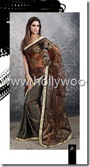 indian saari. pakistani saari. bangladeshi saari. pakistani fashion.. indian fashion. latest dresses (74)