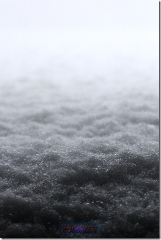 Ice Wide Shot