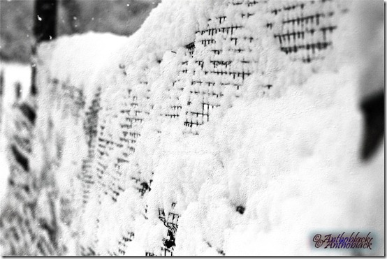 Ice Wide Shot