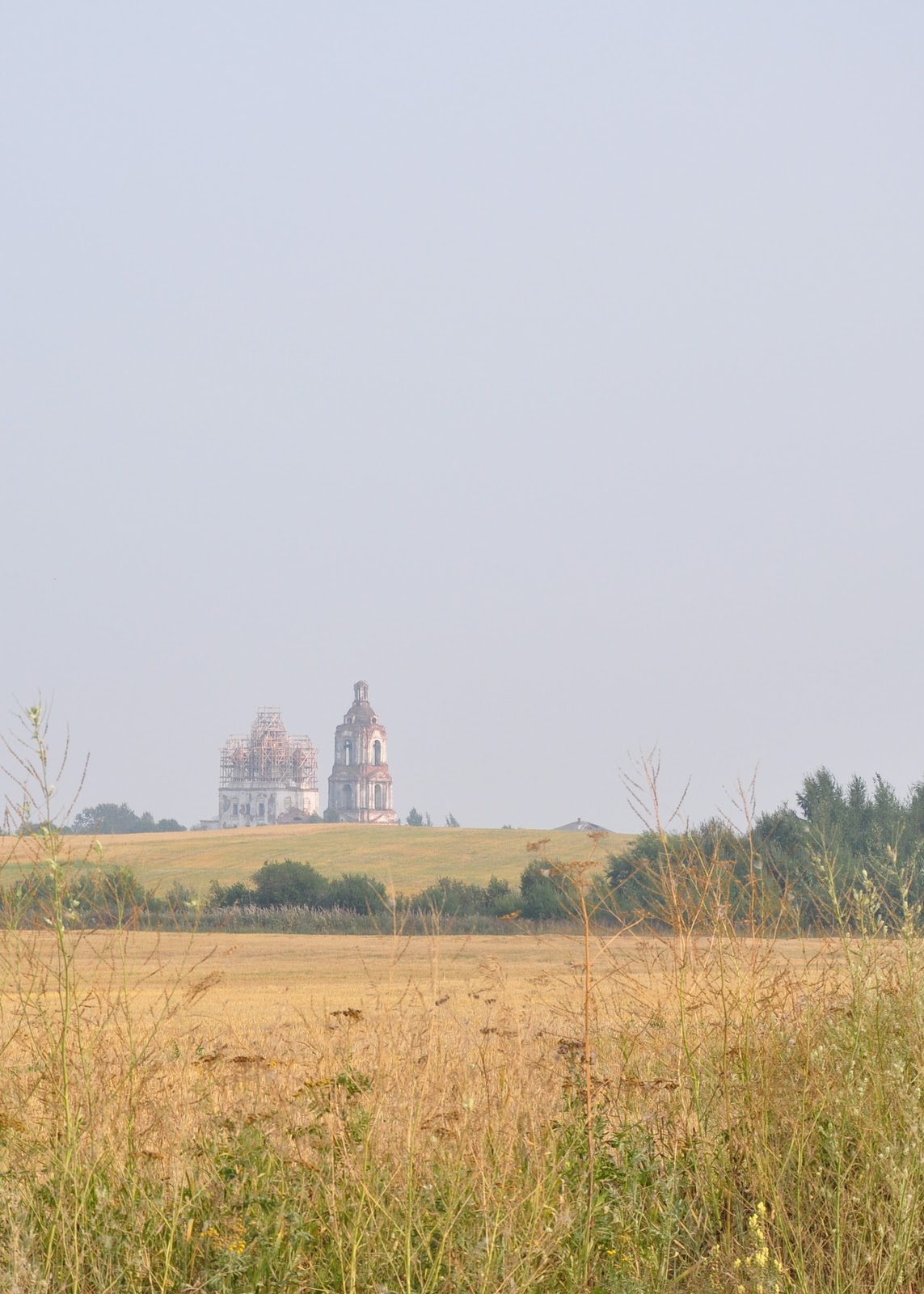 [DSC_10916.jpg]