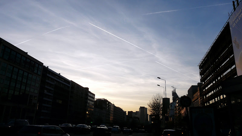 http://lh5.ggpht.com/_yULtYItMfig/S8OPuJCVkxI/AAAAAAAACRU/Ti3fcLO34pM/s800/P1100142.JPG