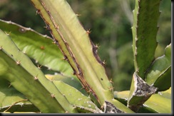 IMG_4577 IMG_4577