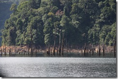 Tasik Kenyir 013