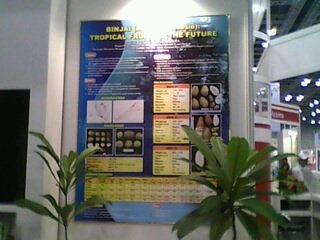 [Malaysia Techonology Expo 2011 (2) 001[2].jpg]