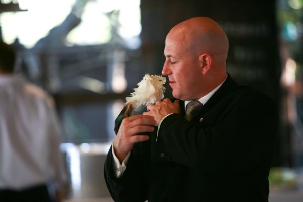 [bandbird[5].jpg]