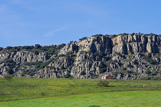 [02042010-cervera3[3].jpg]