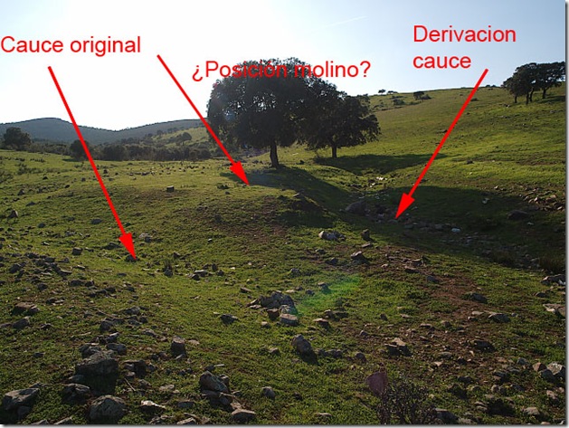 molino molino