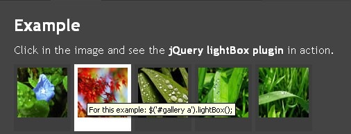 [lightBox[3].jpg]