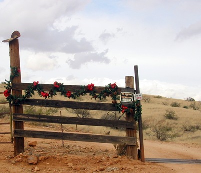 Fence between the cattle guard and green gate.