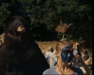 nic the bear