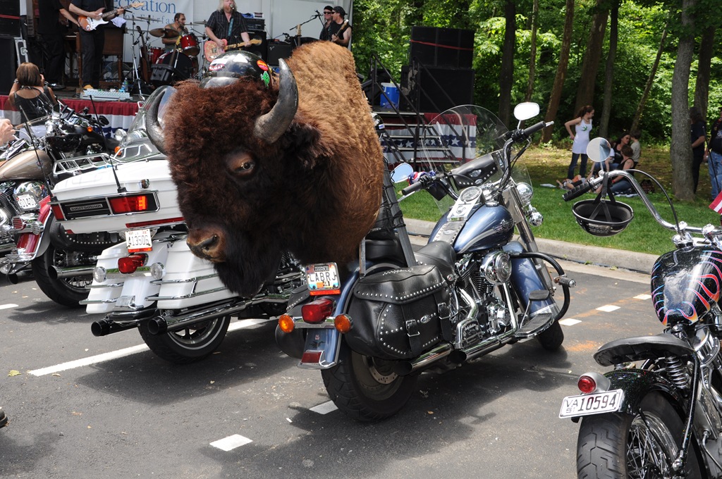 [DSC_1735[5].jpg]