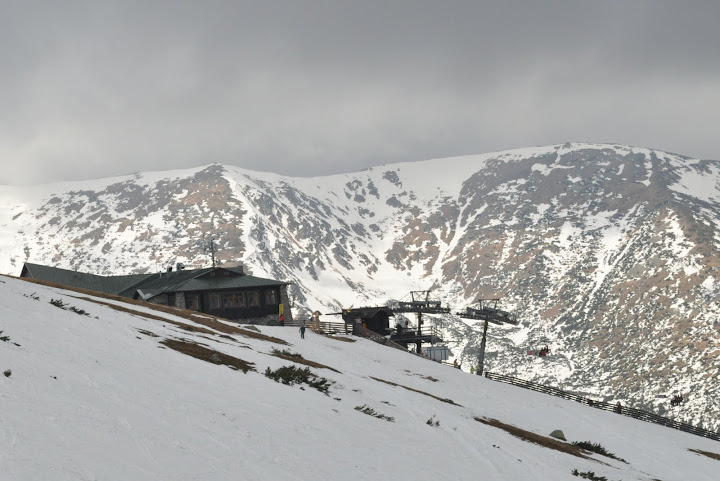 DSC_0419.JPG
