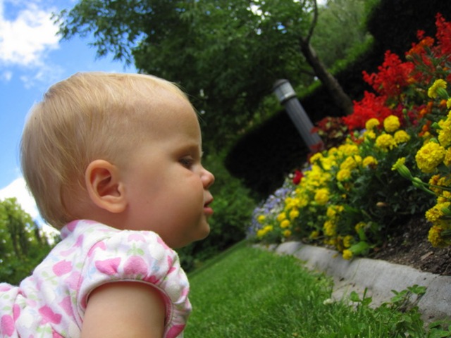 [IMG_9032-1.jpg]
