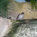 2010-08-26