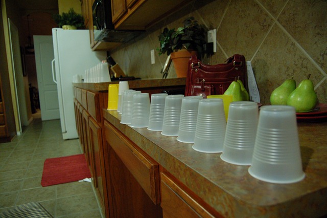 [DSC_0265[5].jpg]