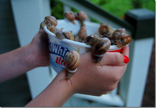 snails3