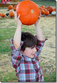 pumpkins10