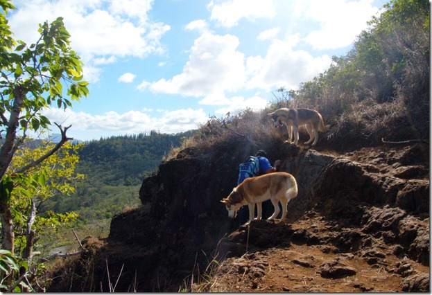 hike4