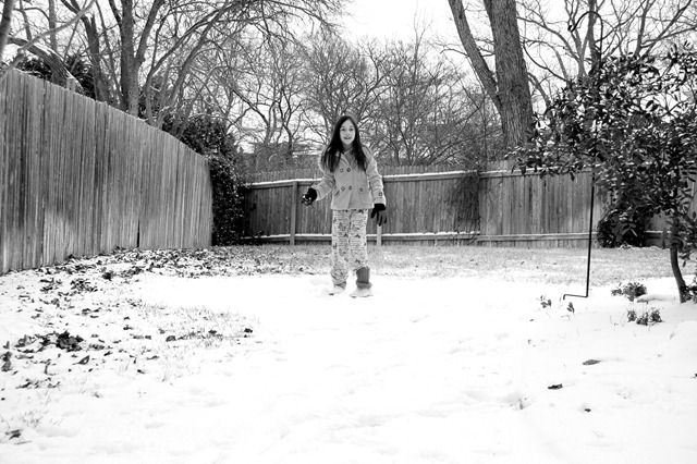 [DSC_0067-1[3].jpg]