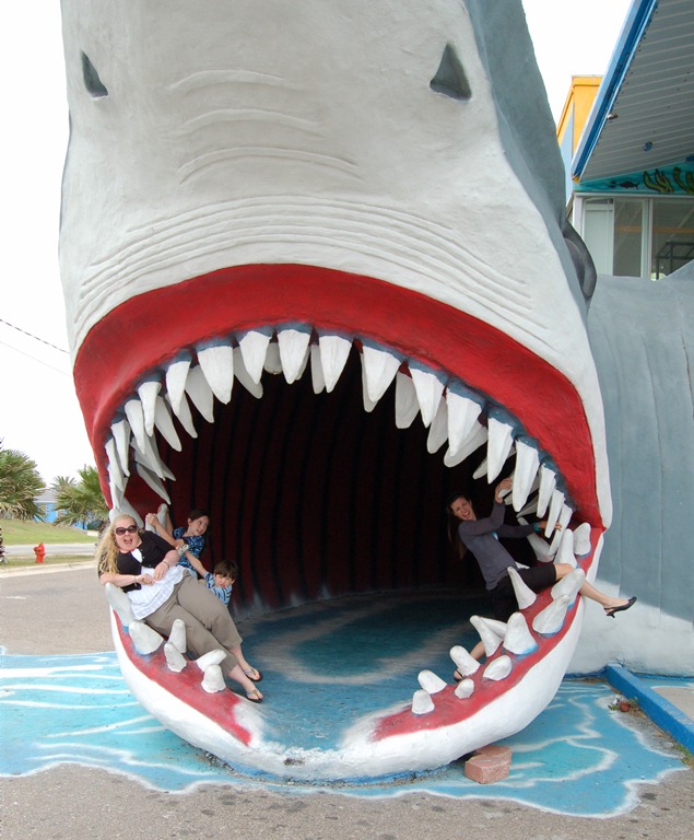 [DSC_0085[8].jpg]