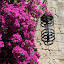 Rodos