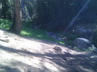 IMG_20100714_082216.jpg Photo
