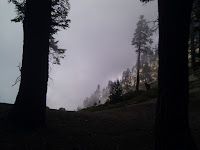IMG_20100922_100601.jpg Photo
