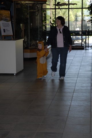 [_DSC0274[3].jpg]