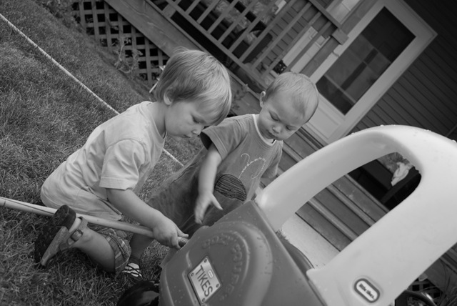 [_DSC0559[5].jpg]