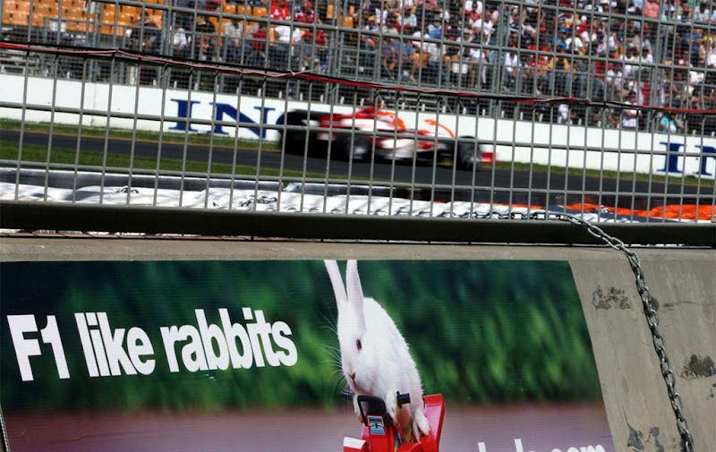 F1 like rabbits Ф1 любит кроликов реклама