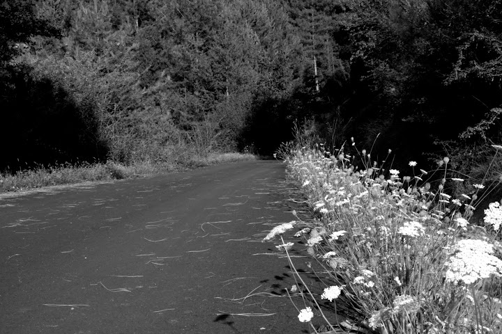 20090802_ESCALONA_206.jpg