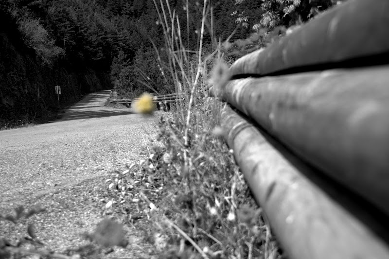 20090802_ESCALONA_157.jpg