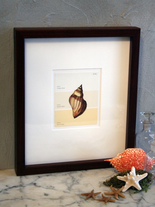 [Turban Shell paint chip print 72[3].jpg]