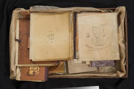 [JMorganPuettnotebooks2.jpg]