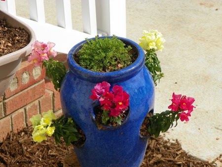 [snapdragons[3].jpg]