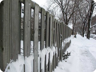 snow-fence