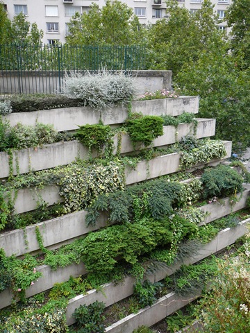 [P1100046[5].jpg]