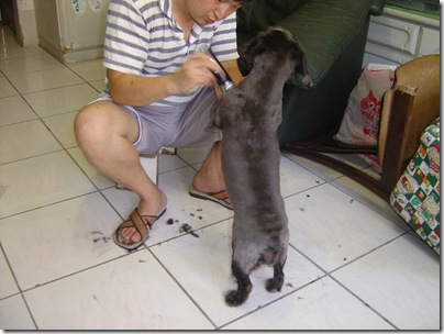 DSC00841