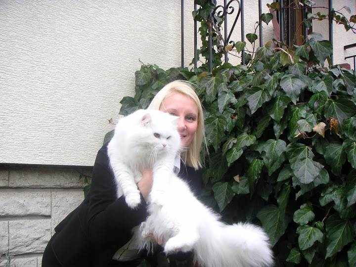 http://lh5.ggpht.com/_yipcvFTXcdQ/S2f7y0_-uJI/AAAAAAAAAFQ/B7rLnawqbFI/s720/PICT0229.JPG