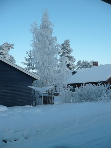 [P1040951[2].jpg]