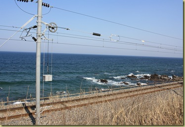 IMG_3105 IMG_3105