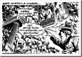 Rani Comics Issue No 26 Dated 15th July 1985 Ranuva Ragasiyam page 13 Panel 1