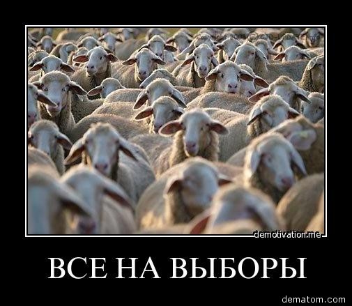 [2011-vse_na_vybory[4].jpg]