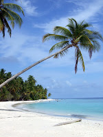 DSCF4346.JPG